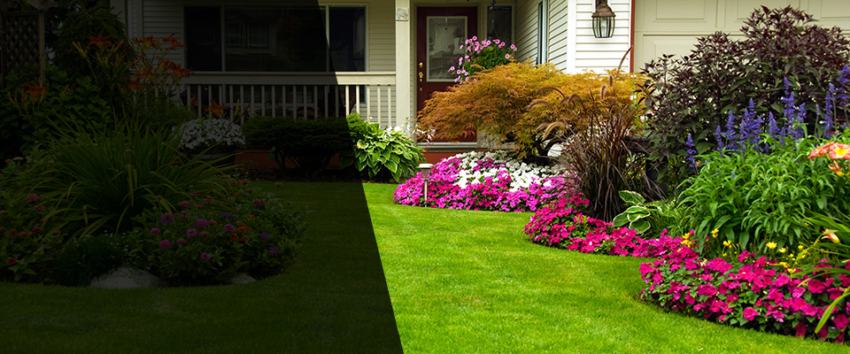 Tarzana Landscapers